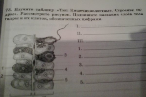 Kraken официальные зеркала