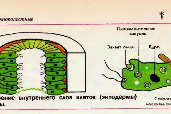 Как восстановить пароль на кракене