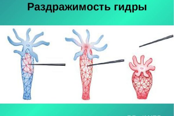 Krn 2at