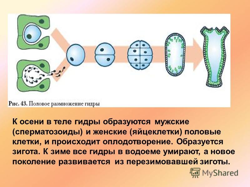 Кракен вход официальный сайт